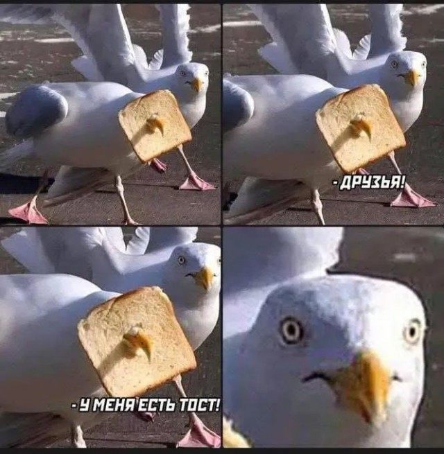 Маленькая пятница 1.10