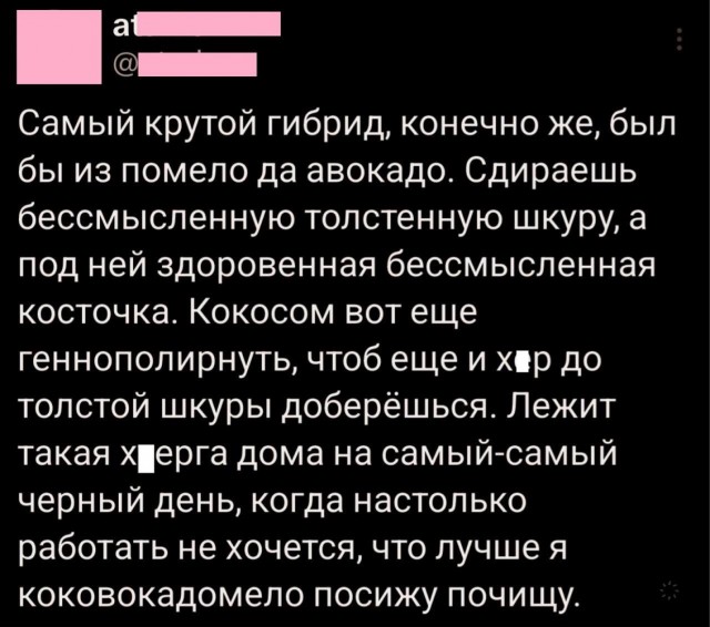 Картинки для бодрости духа