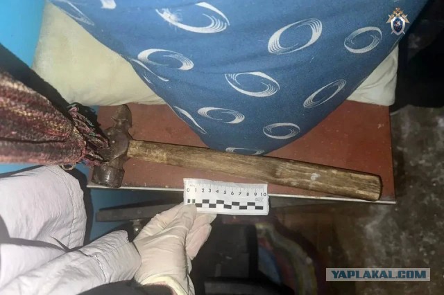 Жительницу ЕАО подозревают в гибели мужчины, которого она ударила молотком