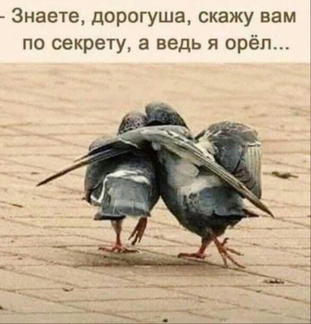 Так себе картинки 06.03.26