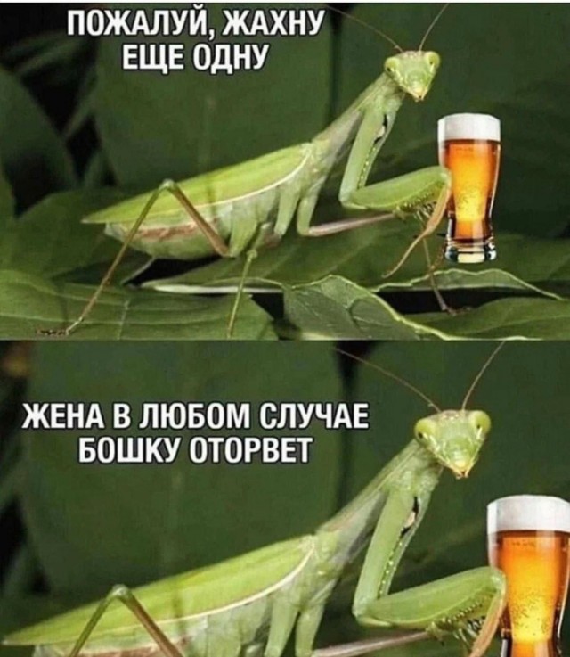 Вот и вся любовь