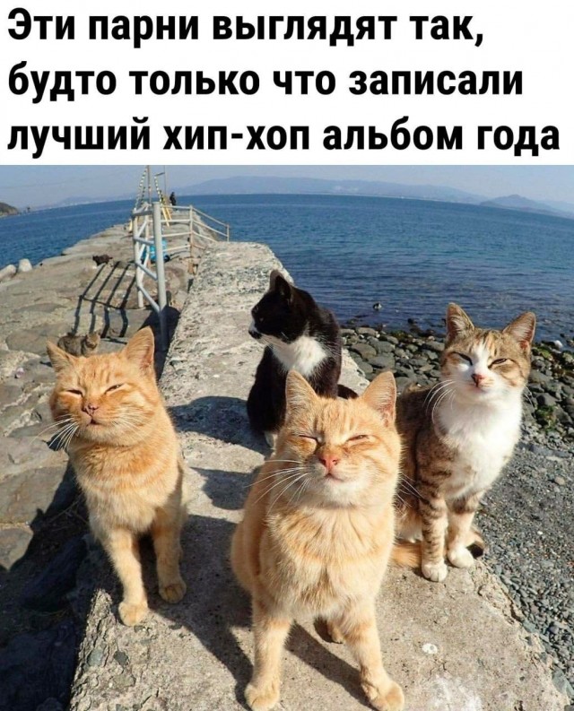 Картинки для деградации 189 (разной степени свежести)