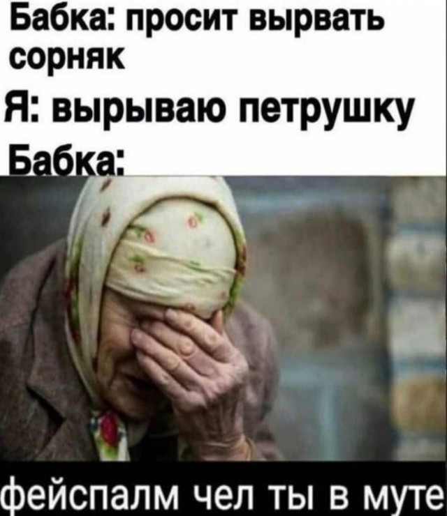Картинки для деградации 197 (разной степени свежести)