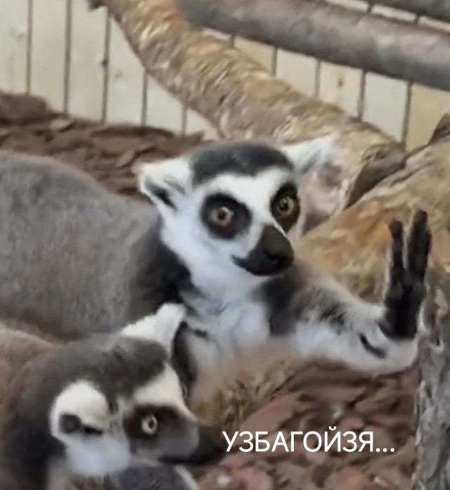 А вы уже открыли сезон клубники?