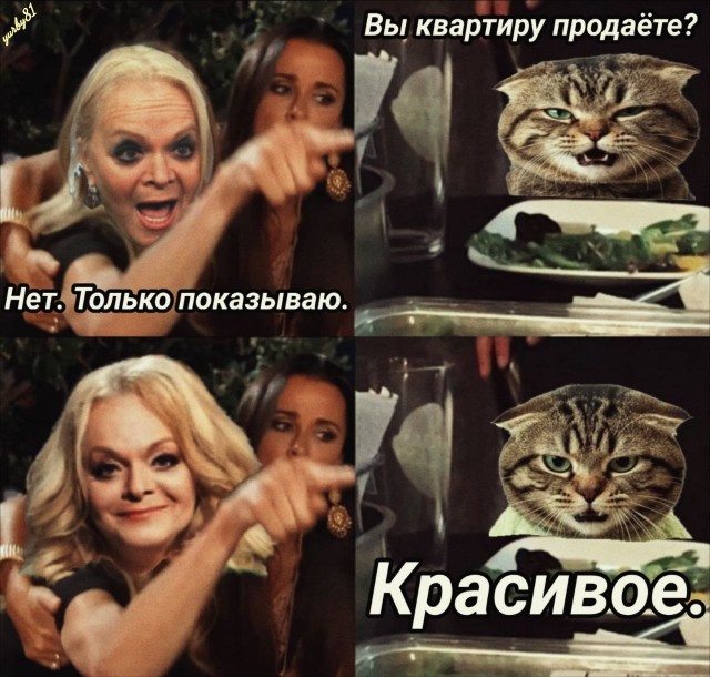 Фотожаба: Грустный котик