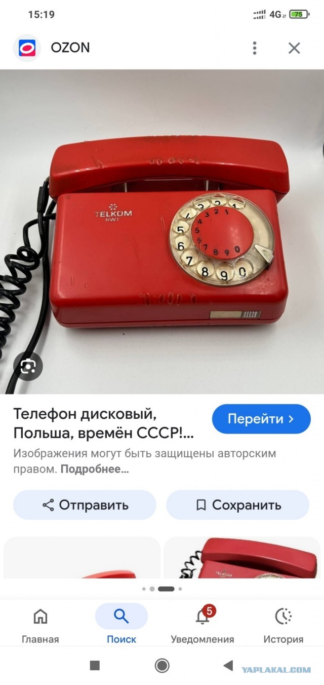Действия Apple показывают, что России нужно скорее строить свой интернет — депутат Госдумы Марина Ким