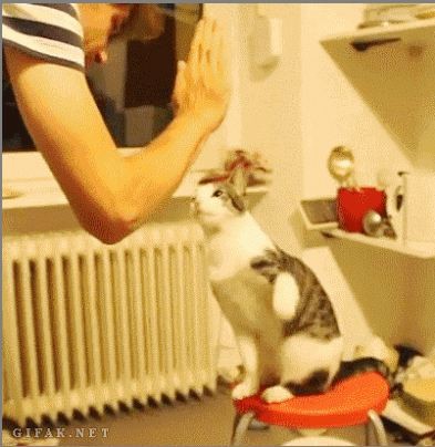 Ладушки-ладушки