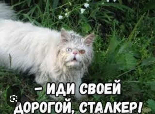 В Чернобыльской зоне при пожаре разыгралась аномалия