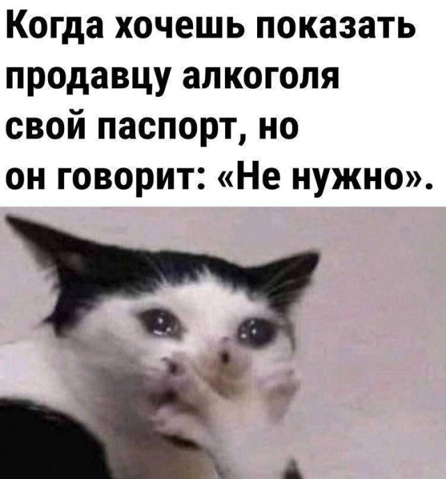 Веселые картинки в маленькую пятницу (08.07)
