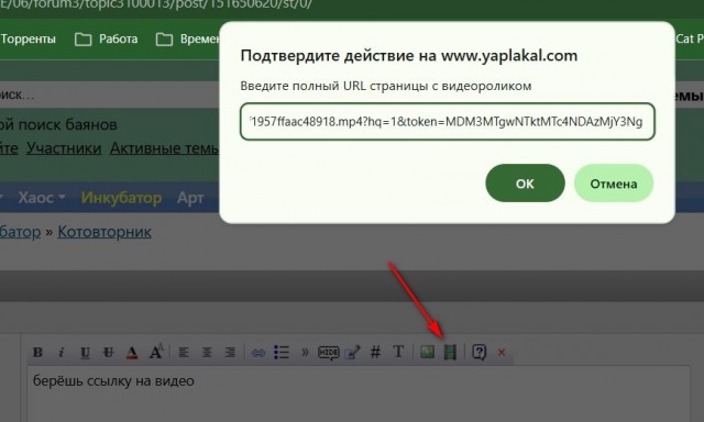 Котовторник