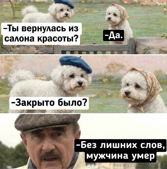 Веселое настроение в картинках 16.08.26