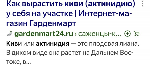 Персики. Персики, блин!