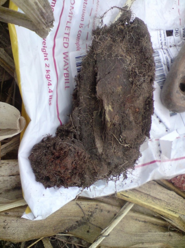 Оржицкая общественная организация Мемориал