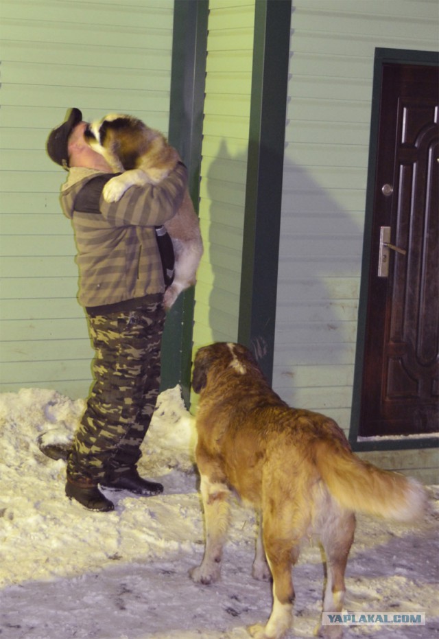 Тяжелый рабочий день ? Выход есть...