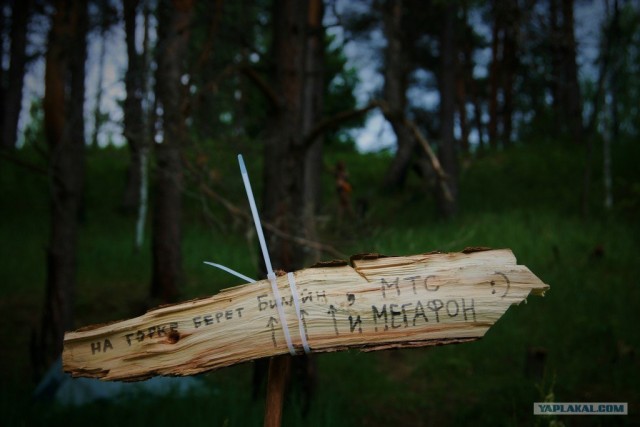 Пустые холмы 2011