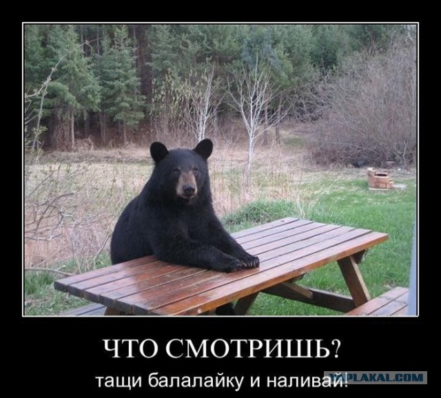 Демотиваторов пост, добавляйте свои