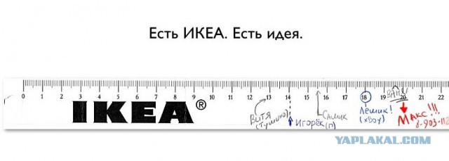 Забавные картинки из интернетов