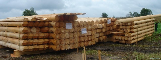 Как я обретал смысл жизни ч.1