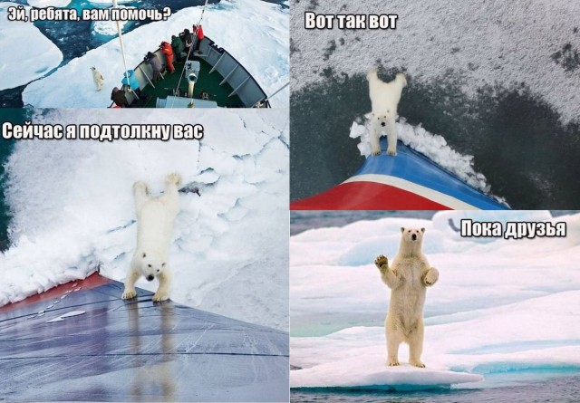 Самыи мощный ледокол