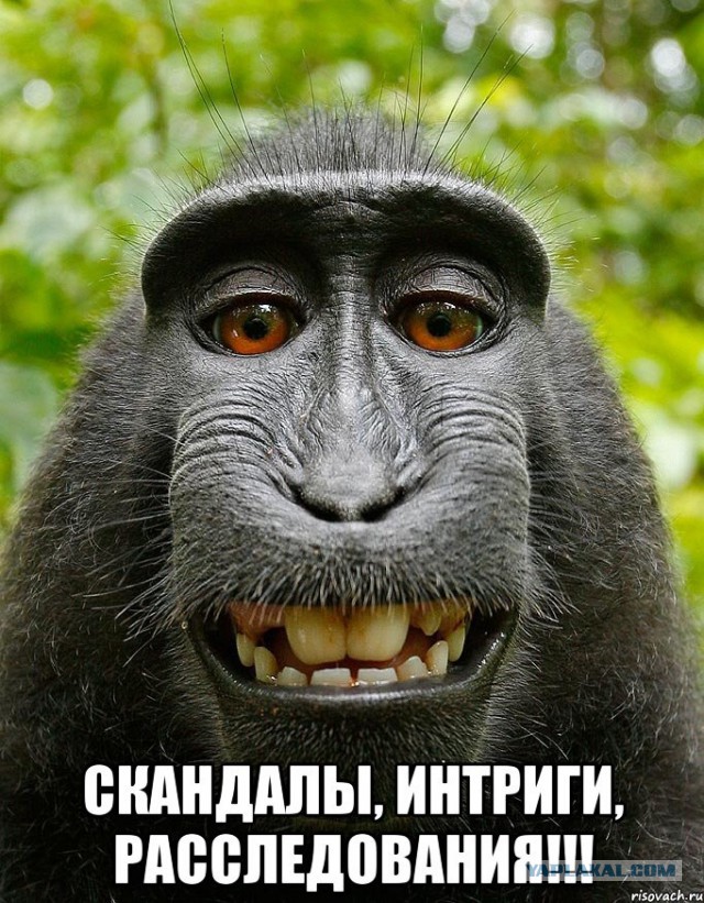 Как психопат чуть не разрушил бизнес