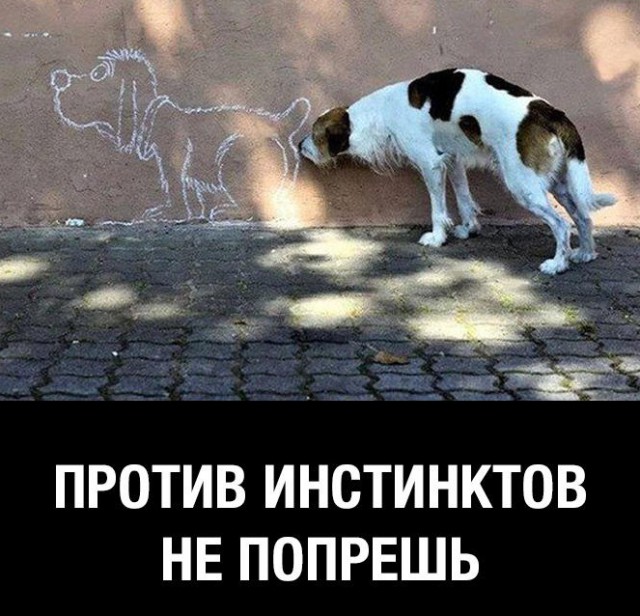 Сборник "баянов" со всего Интернета - 2