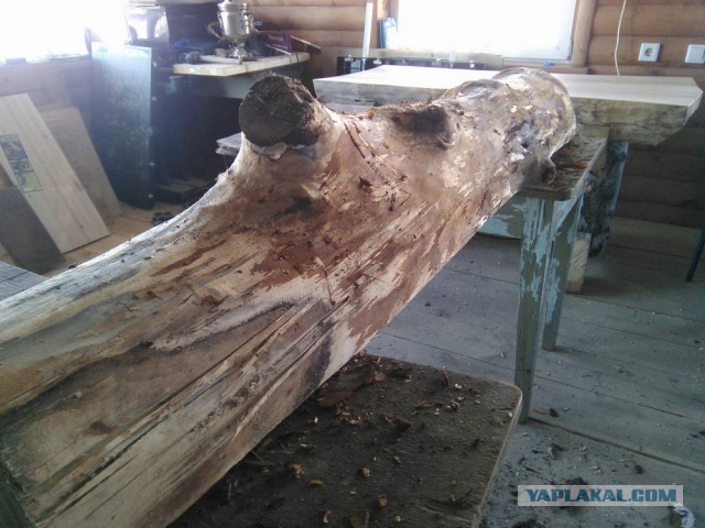 Лавка из березового бревна