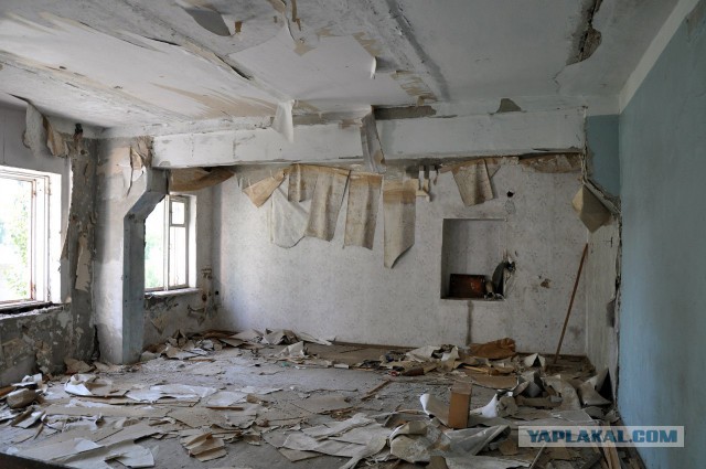 Семикаракорский консервный завод