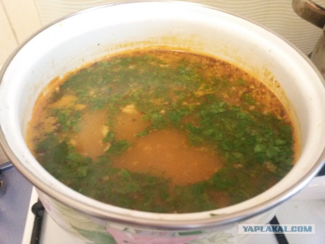 Баранина с картошкой(пирожок) и харчо