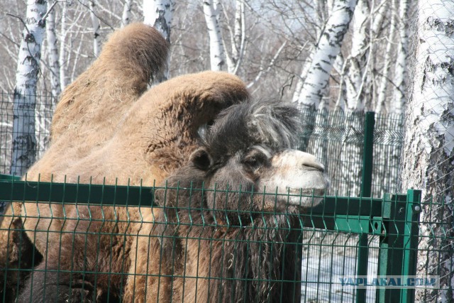 Музей погребальной культуры г. Новосибирска