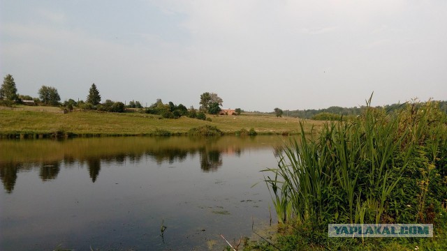 Лето закончено. Давайте вспомним о рыбалке