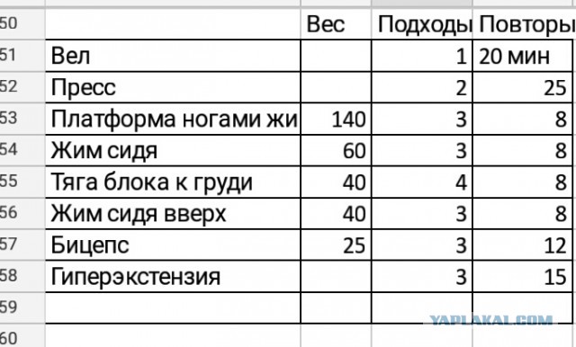 Жиробасики, которые вспомнили, что "скоро лето", взяли себя в руки и побороли свой жир