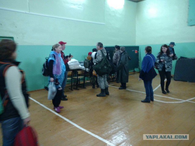 Волонтеры считают, что пропавшего в Ярославской области мальчика можно было спасти.