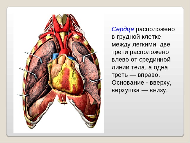 Что происходит с Землей?