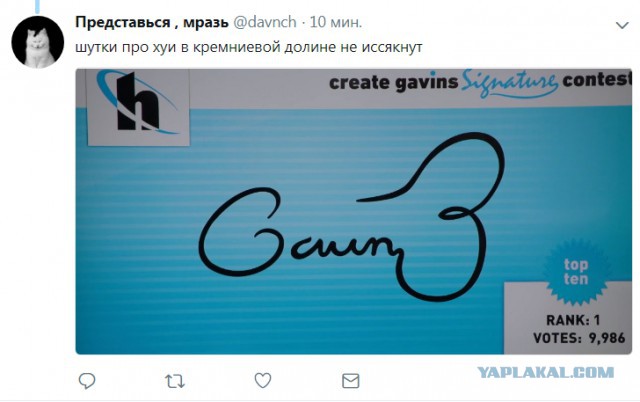 Смешные комментарии из социальных сетей 13.04.2018