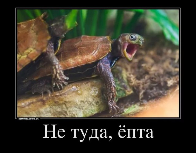 Экстремальный секс
