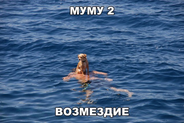 Нестандартный юмор