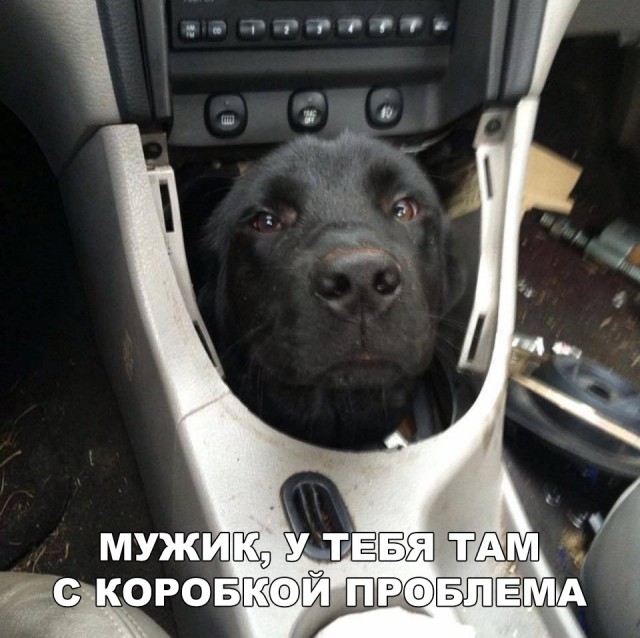 Нестандартный юмор