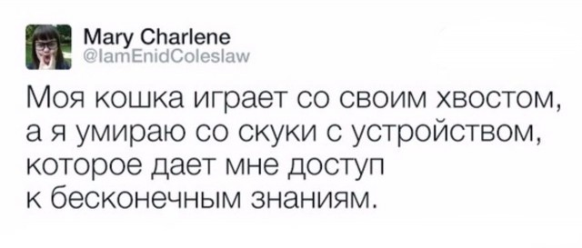Немного картинок в эту среду