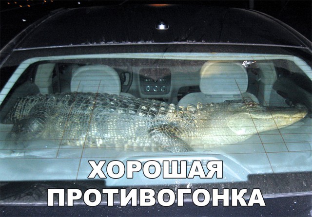 Нестандартный юмор