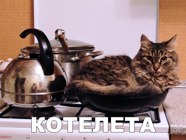Прикольные картинки абавсём