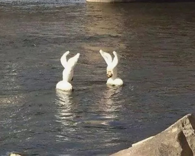 WTF: что тут происходит?