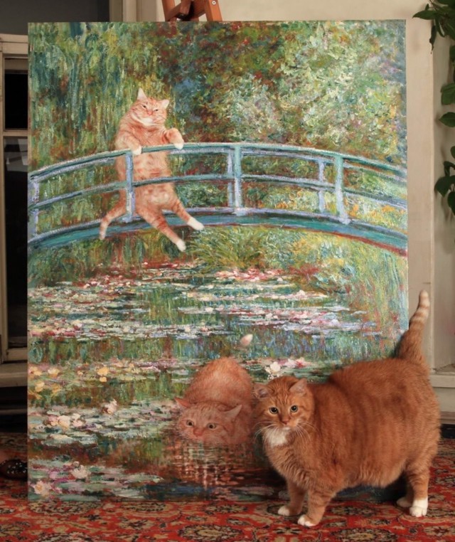 Прикольных котов пост
