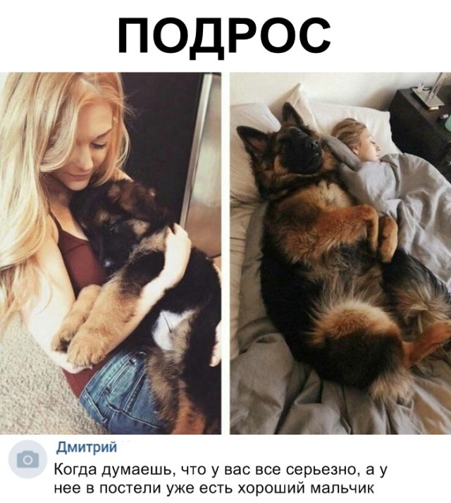 Нестандартный юмор