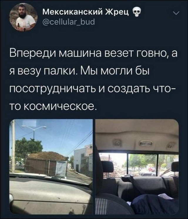 Занимательная антропология