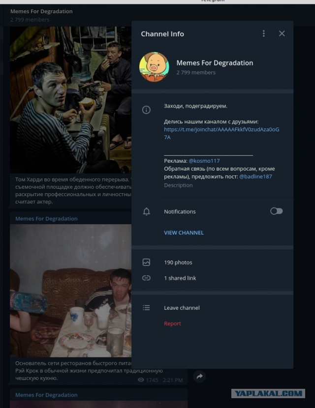 Факты и история в картинках