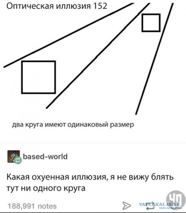 Картинки из этих ваших интернетов 24.02.20