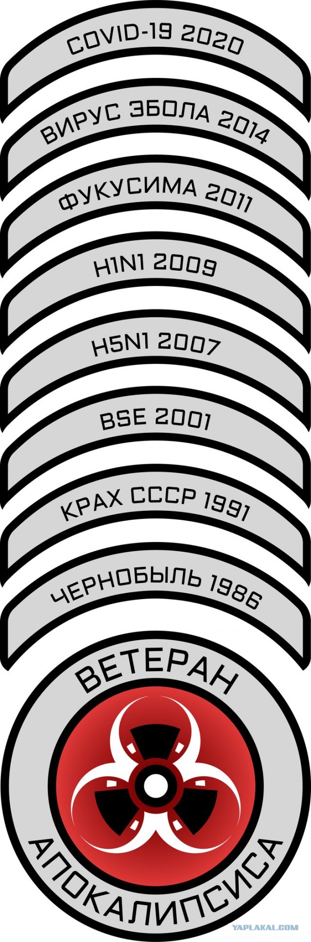 Как Шойгу превзошел Сталина, сколько стоят медали