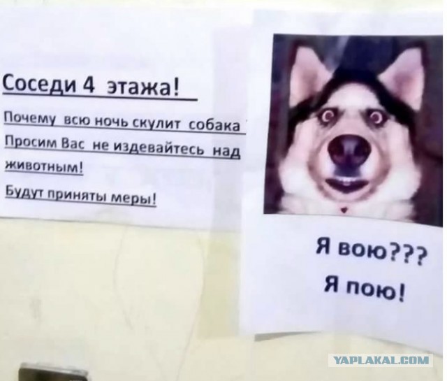 Упрекнул женщин на сайте знакомств в том, что они мало зарабатывают. Показываю ответы