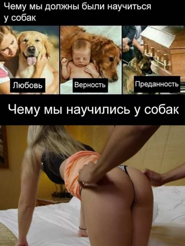 Предлагаю немного слегка пошлых картинок с надписями и без 16+ (05.08)