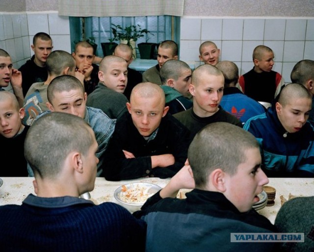 В парке в московских Черёмушках яжотец схватил пятилетнего ребёнка из-за брошеной игрушки